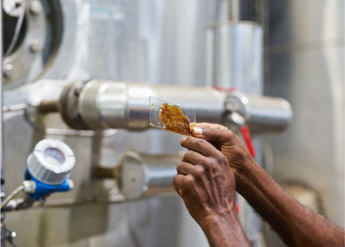 Des niveaux d'humidité soigneusement contrôlés pour une fraîcheur et une conservation des saveurs optimales.